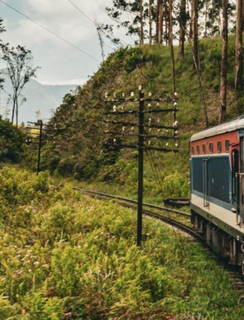 Moving Forward: Post-“Ditwah” Travel Update